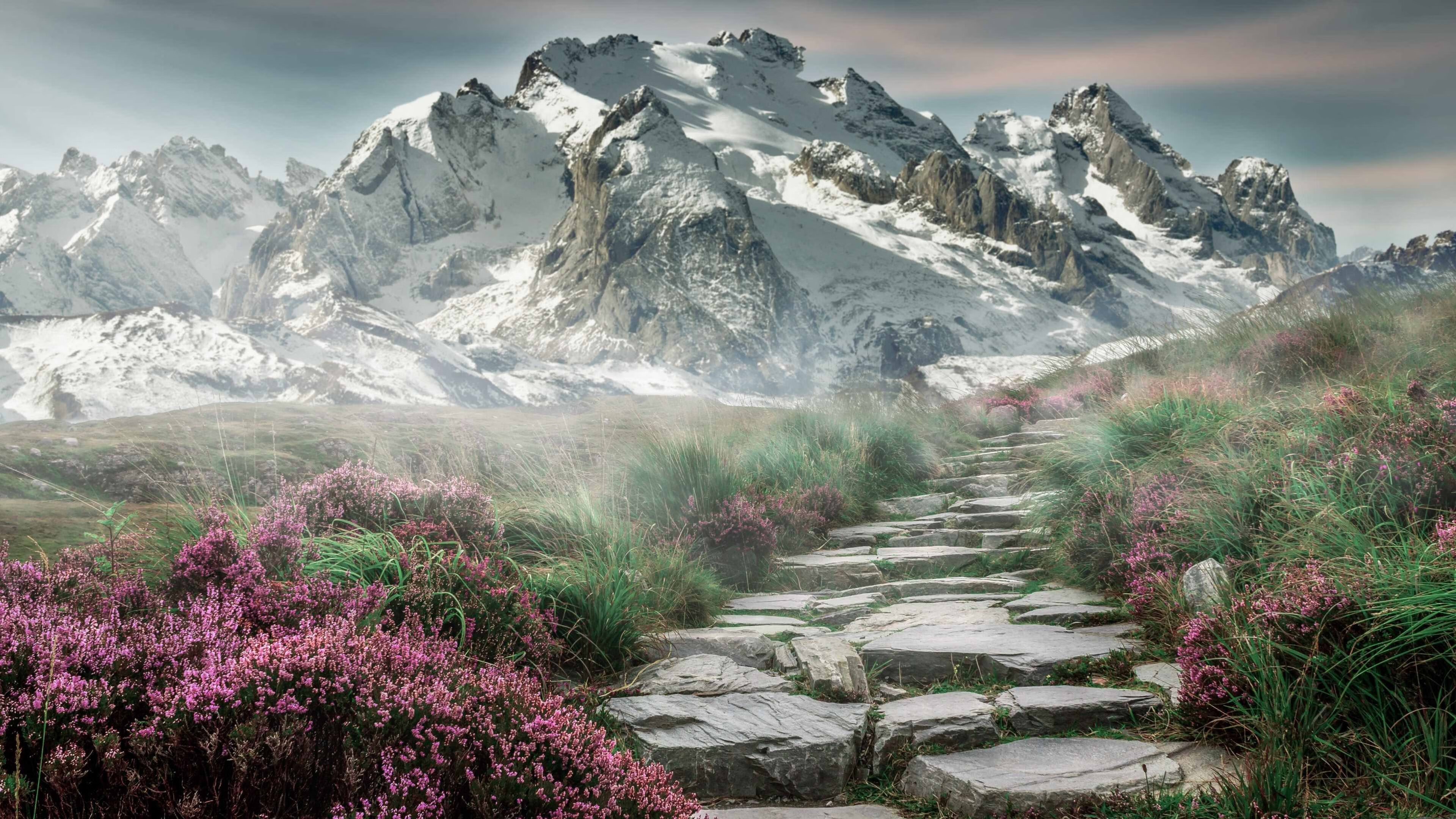 v7.2.5 修复版正式发布，2026年4月6日，一次关键的技术淬炼